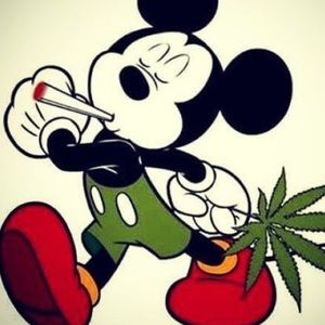 Meet your Posher, Alonso